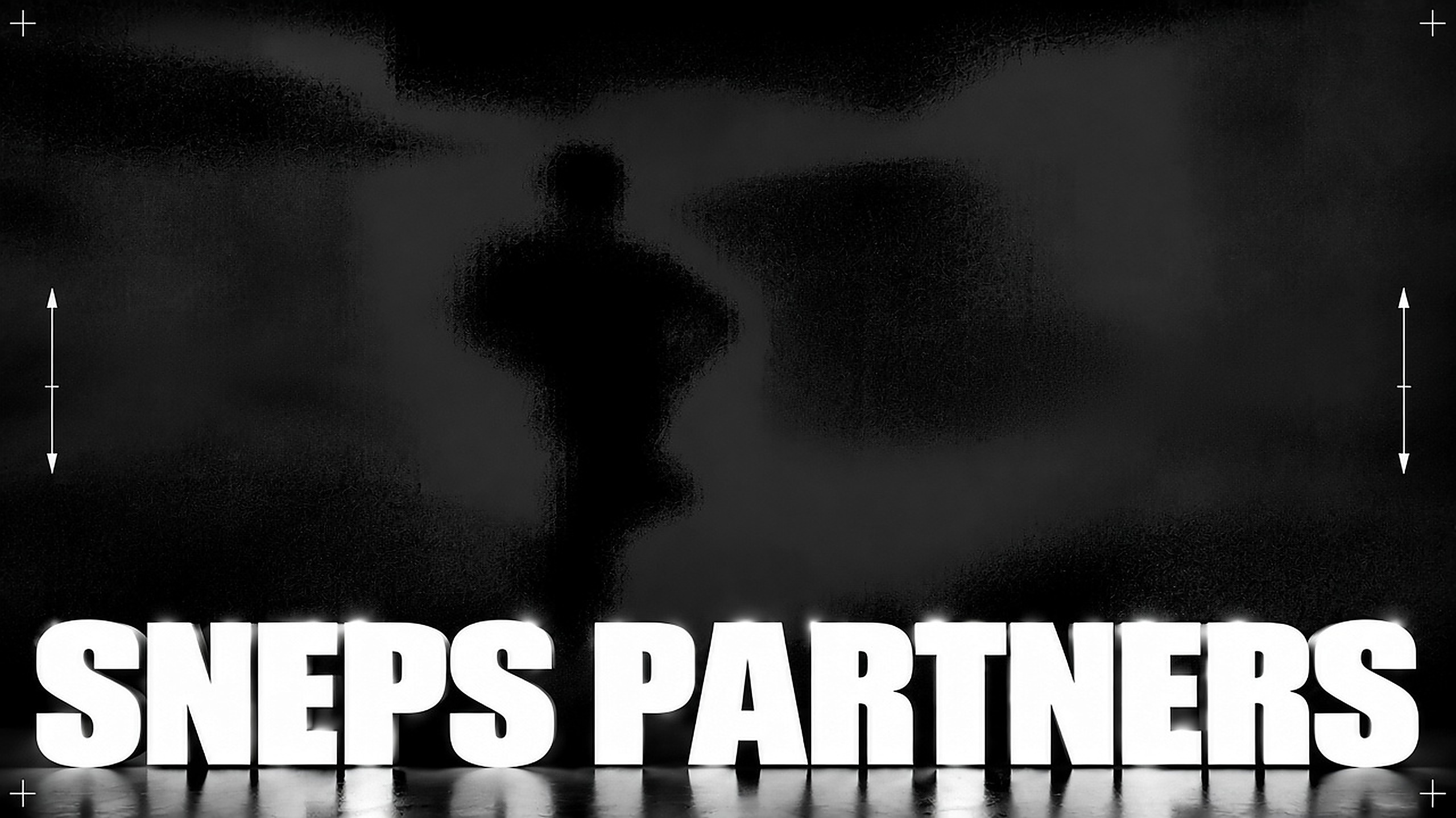 SNEPS PARTNERS
